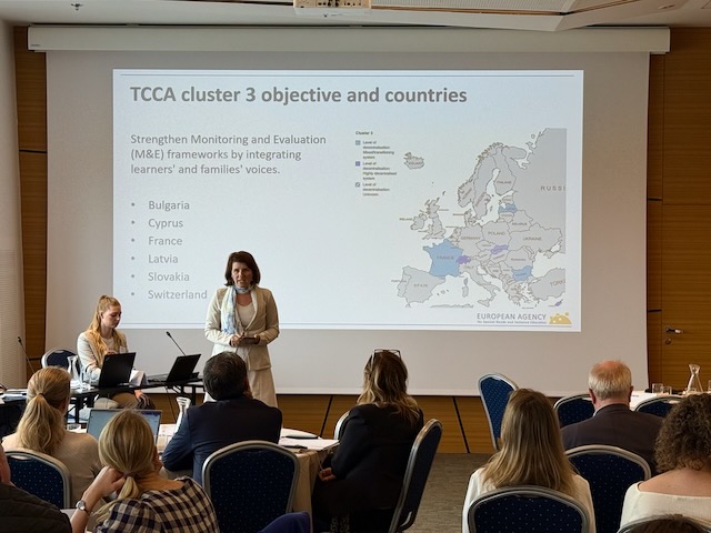 Strengthening EASNIE’s impact through the vital work of country representatives: Spring 2025 bi-annual meeting